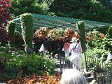02 - Butchard Gardens  - IMGA0246